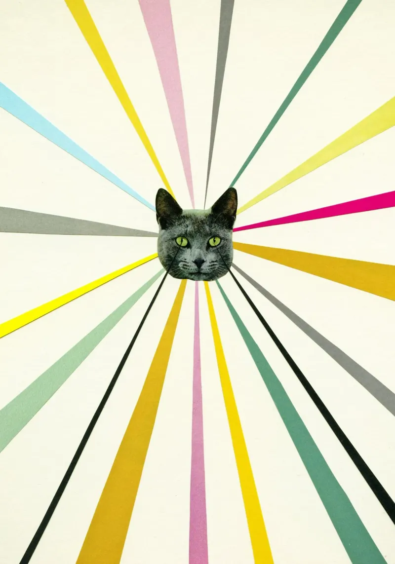 Les yeux du chat panneau forex de Cassia Beck Collage