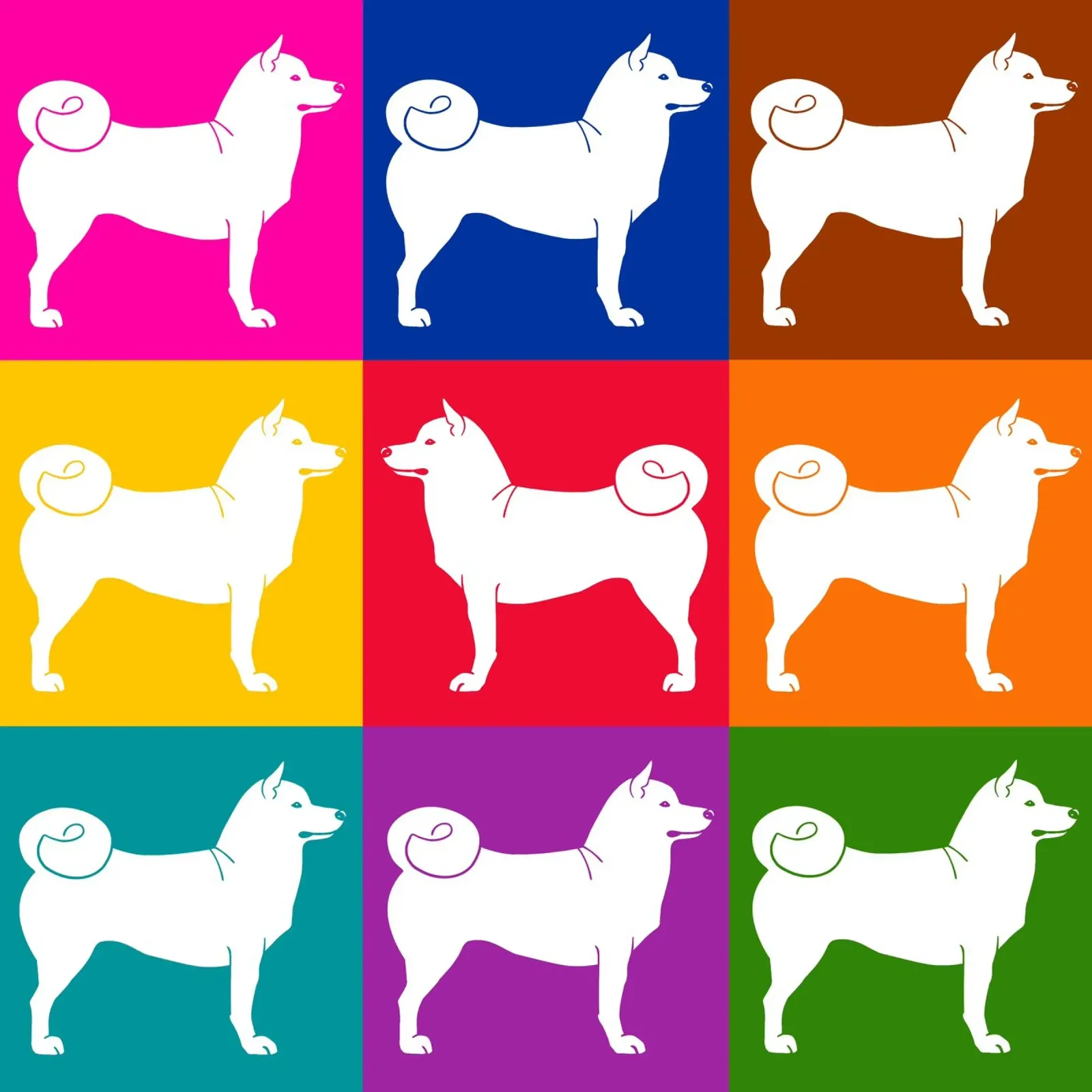 Shiba Inu pellicola backlit da Pop dogs
