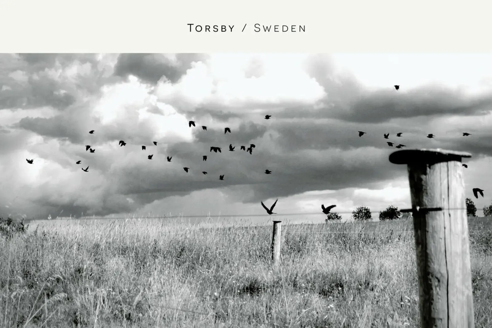 Torsby B&W pellicola backlit da In Full Color