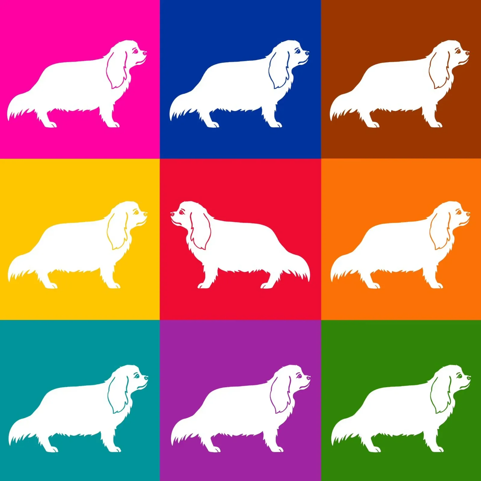 Cavalier King Charles pellicola backlit da Pop dogs