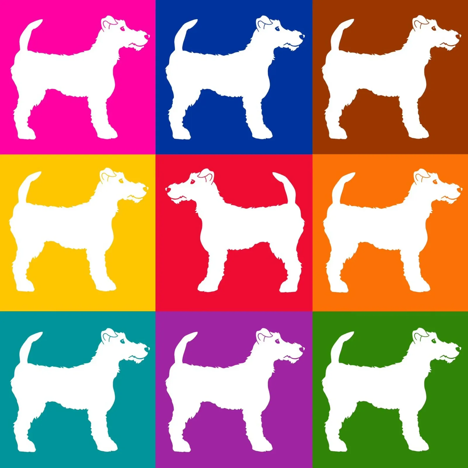 Fox Terrier pellicola backlit da Pop dogs