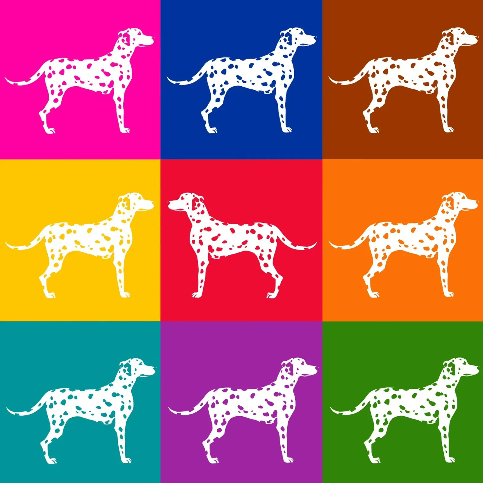Dalmata pellicola backlit da Pop dogs