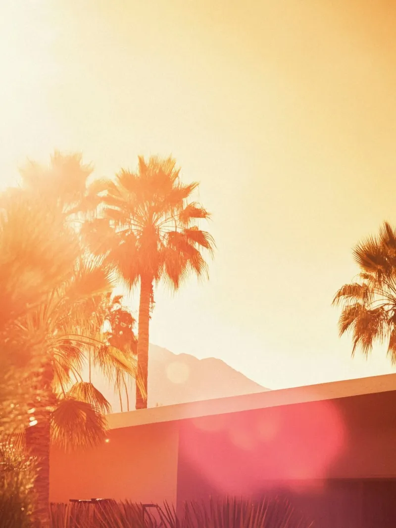 Palm Spring plexiglass da Minimalistic