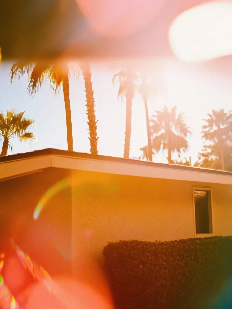 Blur & Palm Spring alluminio dibond da Minimalistic