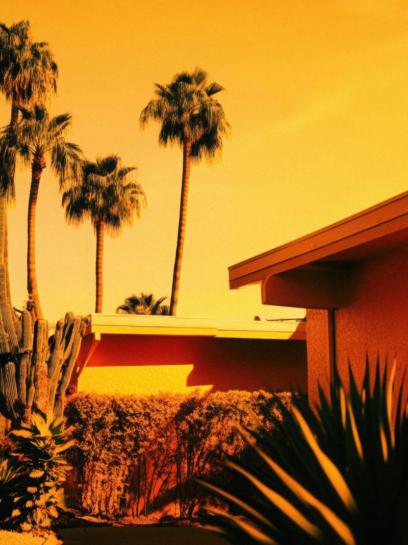Sun & Palm Spring pannello forex da Minimalistic