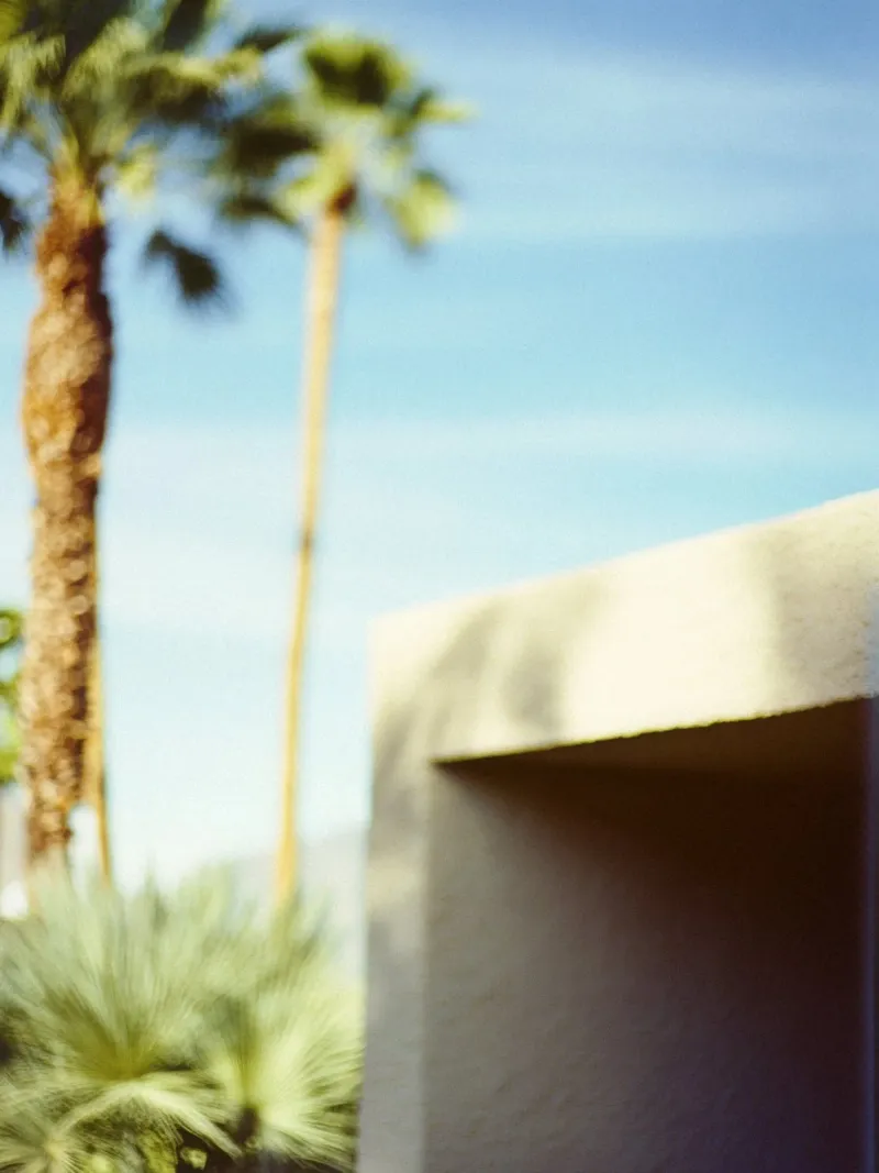 Blue & Palm Spring pellicola backlit da Minimalistic