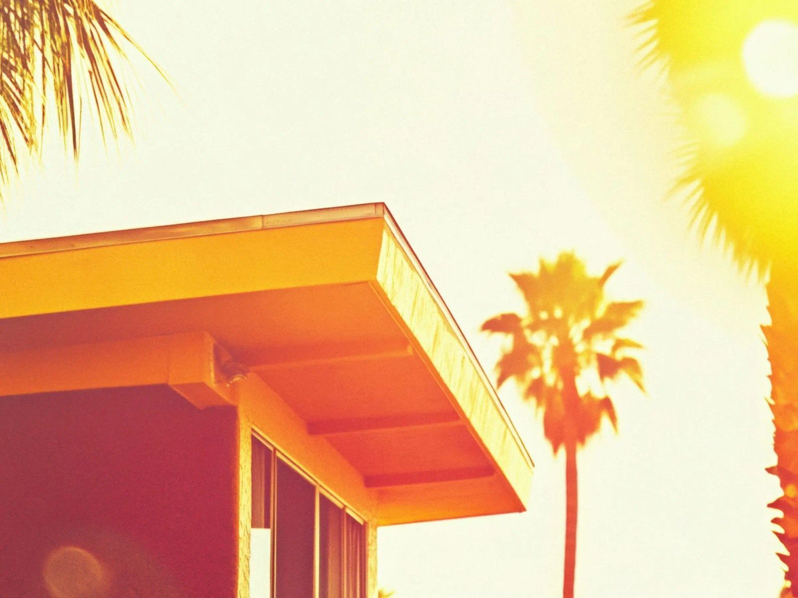 Yellow & Palm Spring pannello forex da Minimalistic