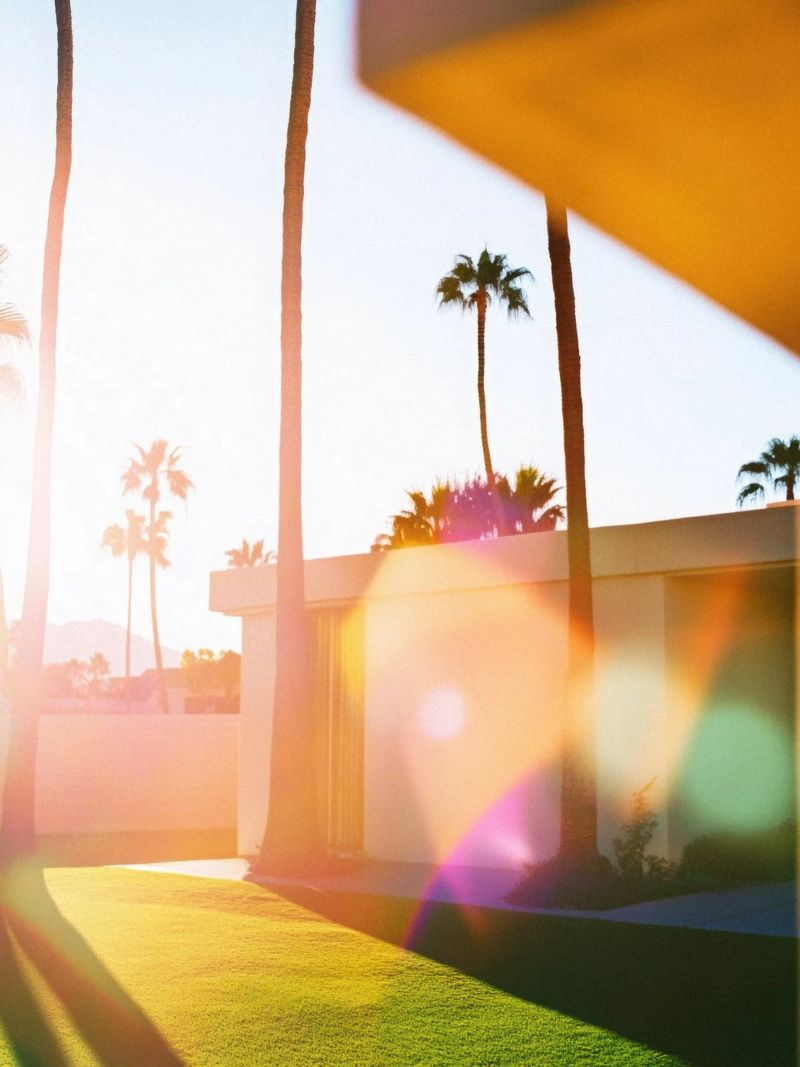 Flou & Palm Spring pellicola backlit da Minimalistic