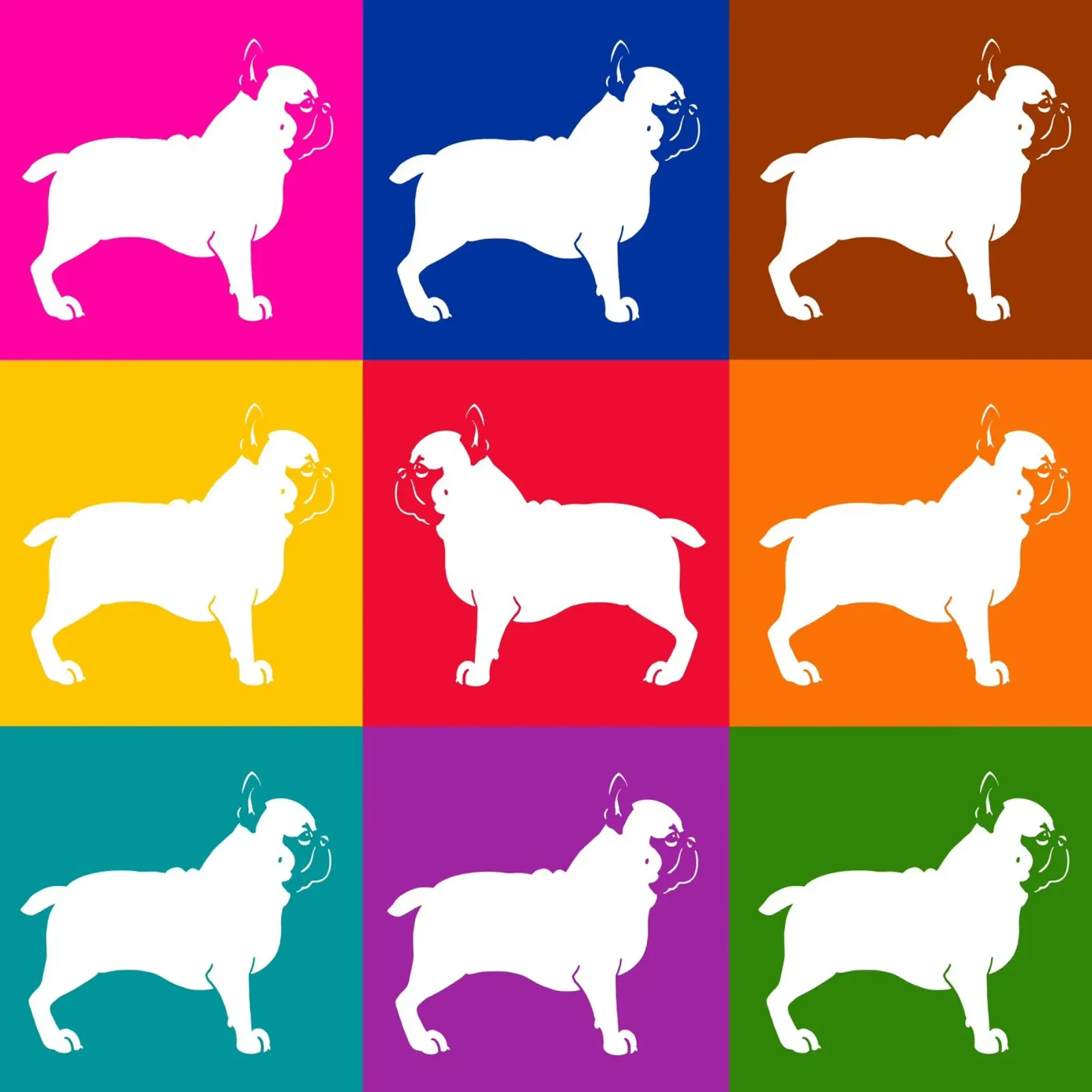 Bulldog francese pellicola backlit da Pop dogs