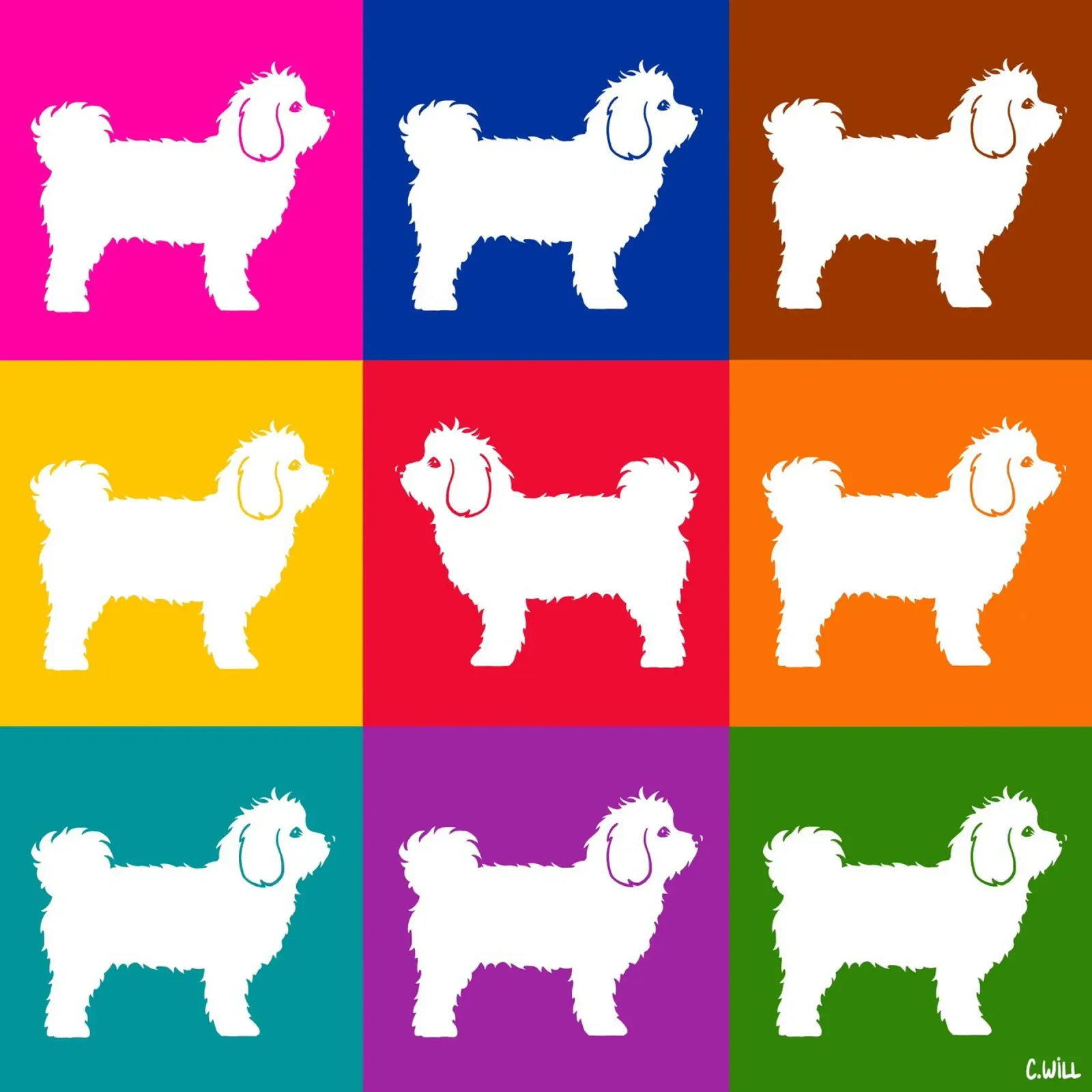 Cane maltese pellicola backlit da Pop dogs