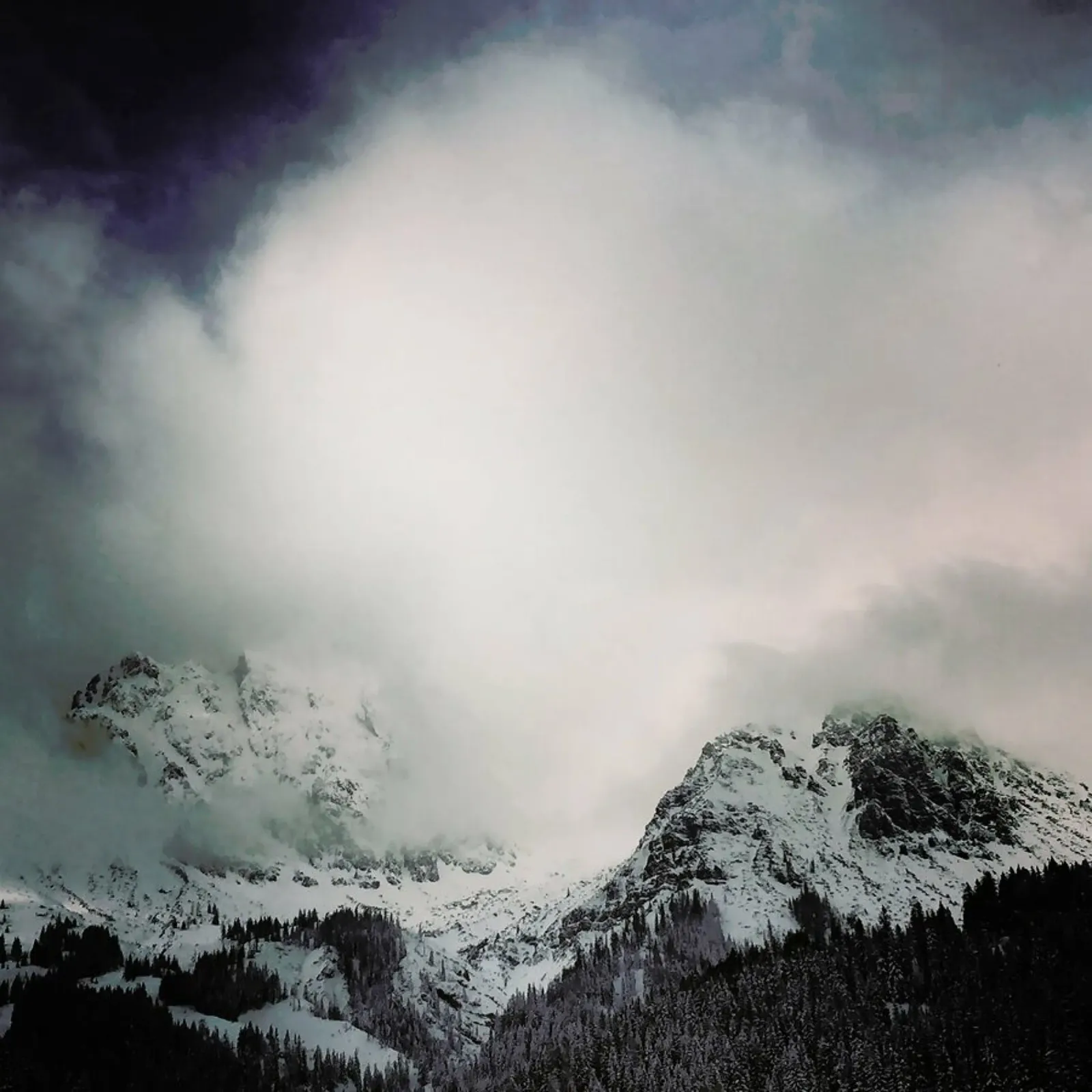 The Alps 3 toile de Nur Mut
