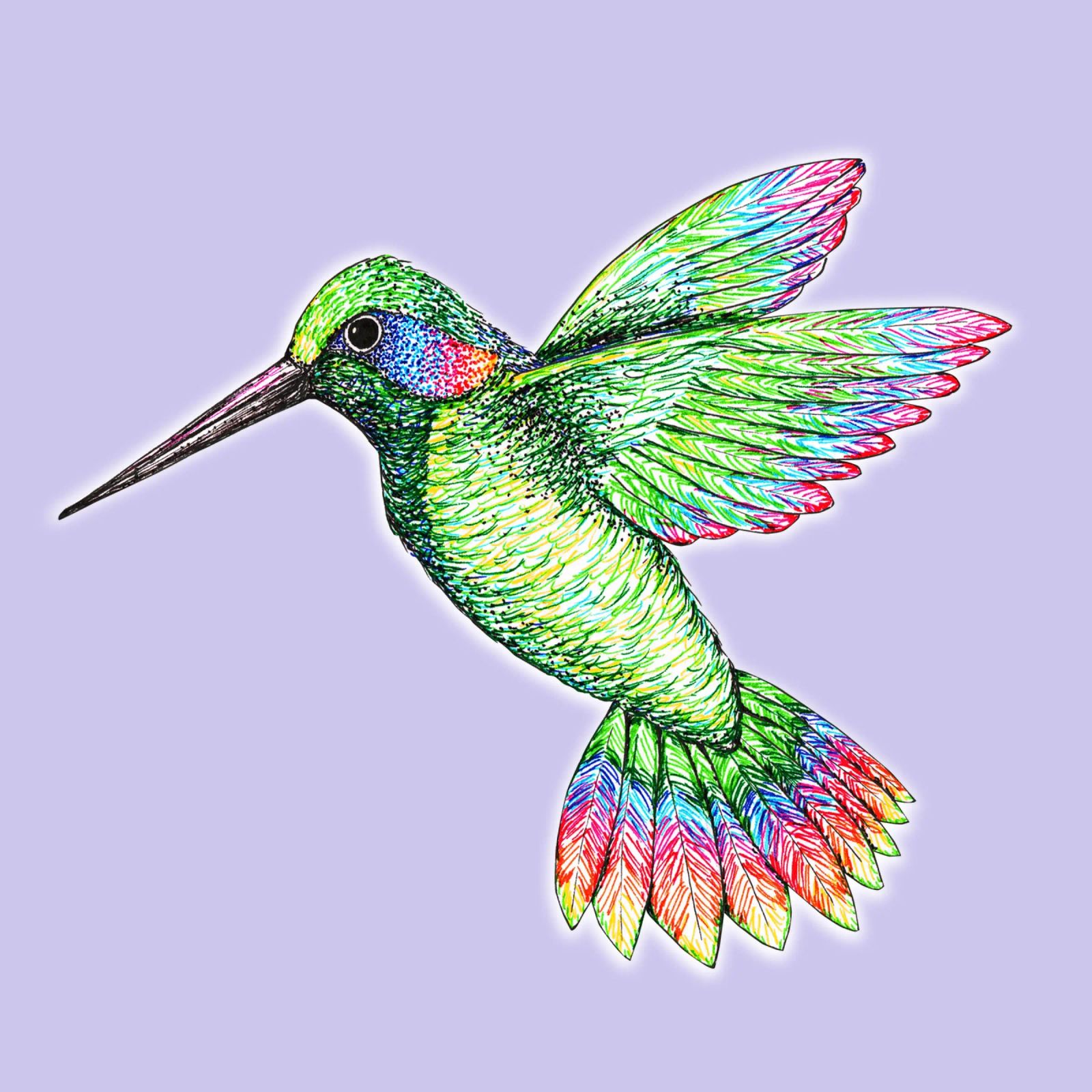 Hummingbird poster by BwiseLizzy