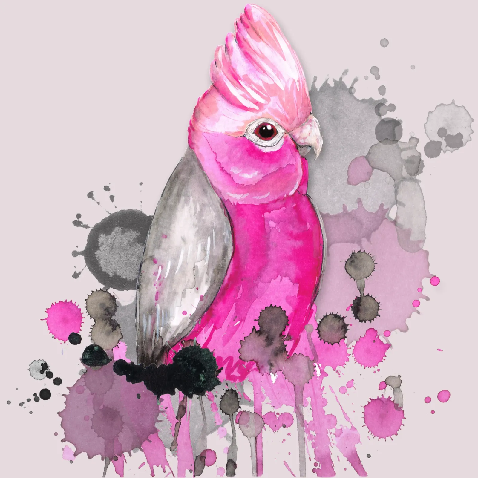 Cacatua Galah pellicola backlit da BwiseLizzy
