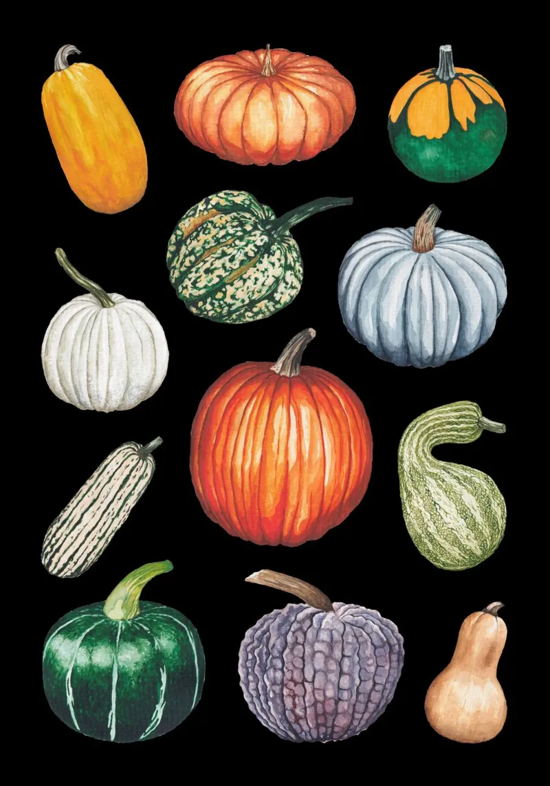 Pumpkins poster with plastic frame by Artsymalistic