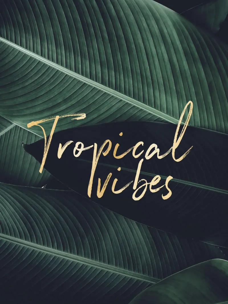 Tropical Vibes - Groene bladeren Art Print canvas van Whole©
