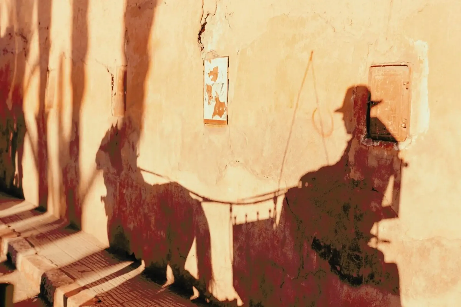Marrakesh Paradise 3 pellicola backlit da Paul Aidan Perry