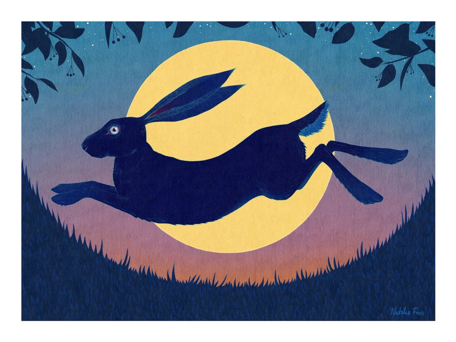 Running Hare pellicola backlit da Natalie Foss