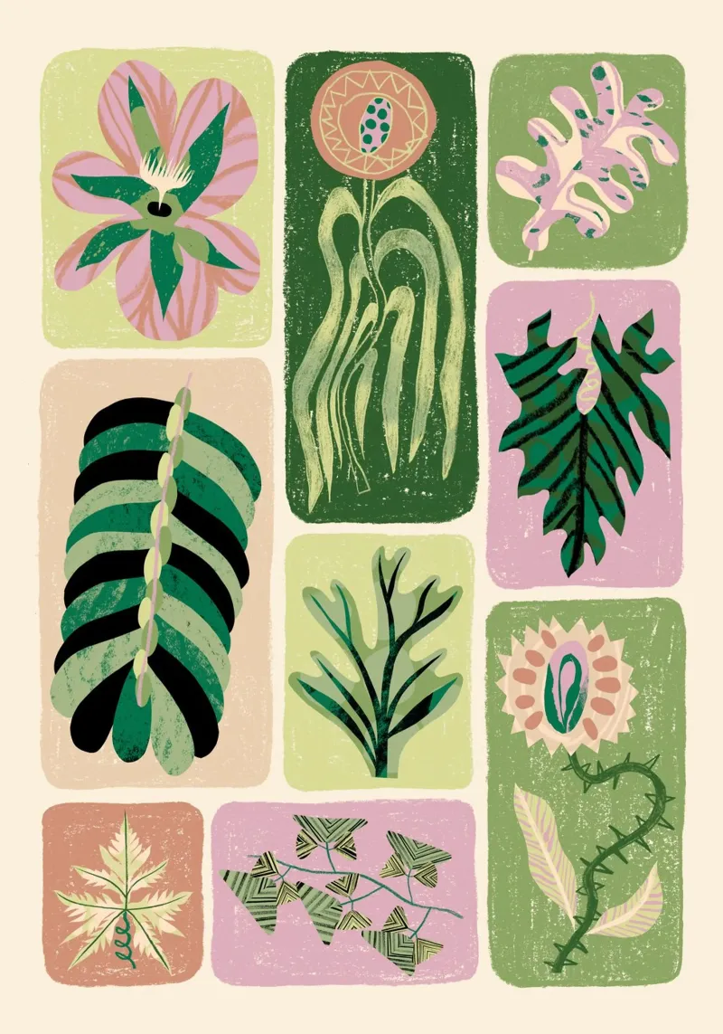 Modern Botany plexiglass da Tom Abbiss Smith