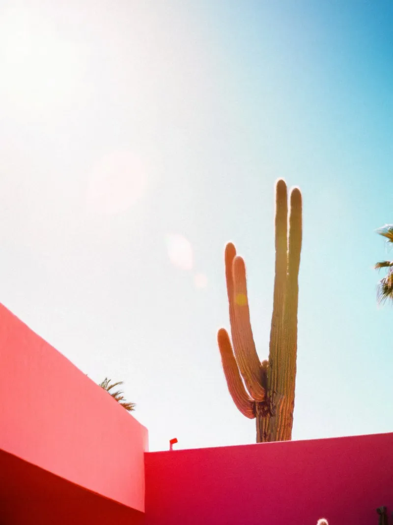 2 pellicola backlit da Pink California | Affiches & Posters