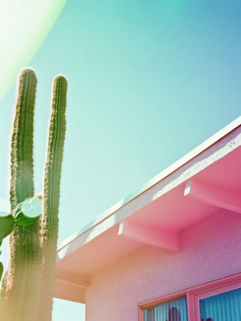 4 pellicola backlit da Pink California | Affiches & Posters