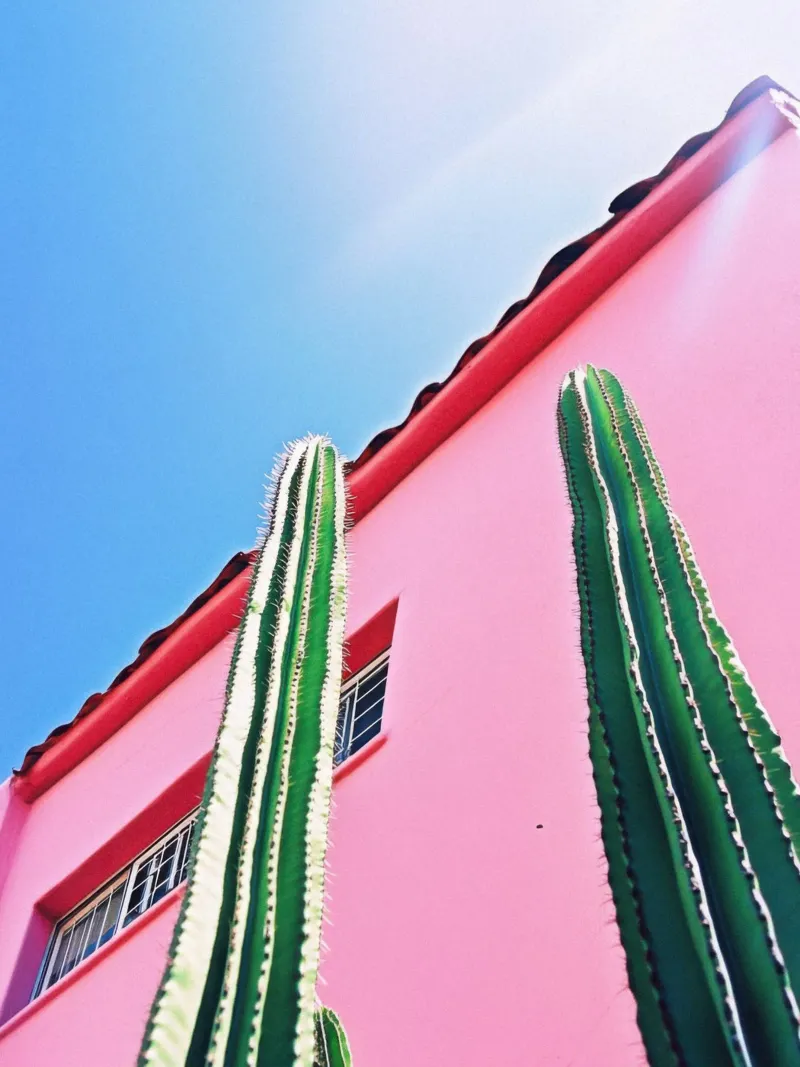 5 pellicola backlit da Pink California | Affiches & Posters