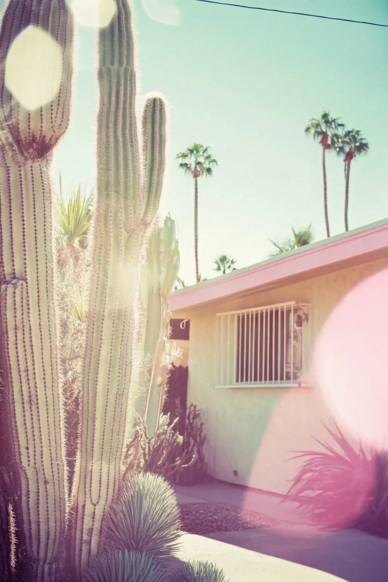 7 pellicola backlit da Pink California | Affiches & Posters