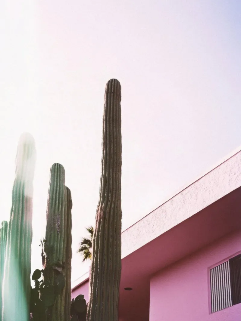 10 pellicola backlit da Pink California | Affiches & Posters