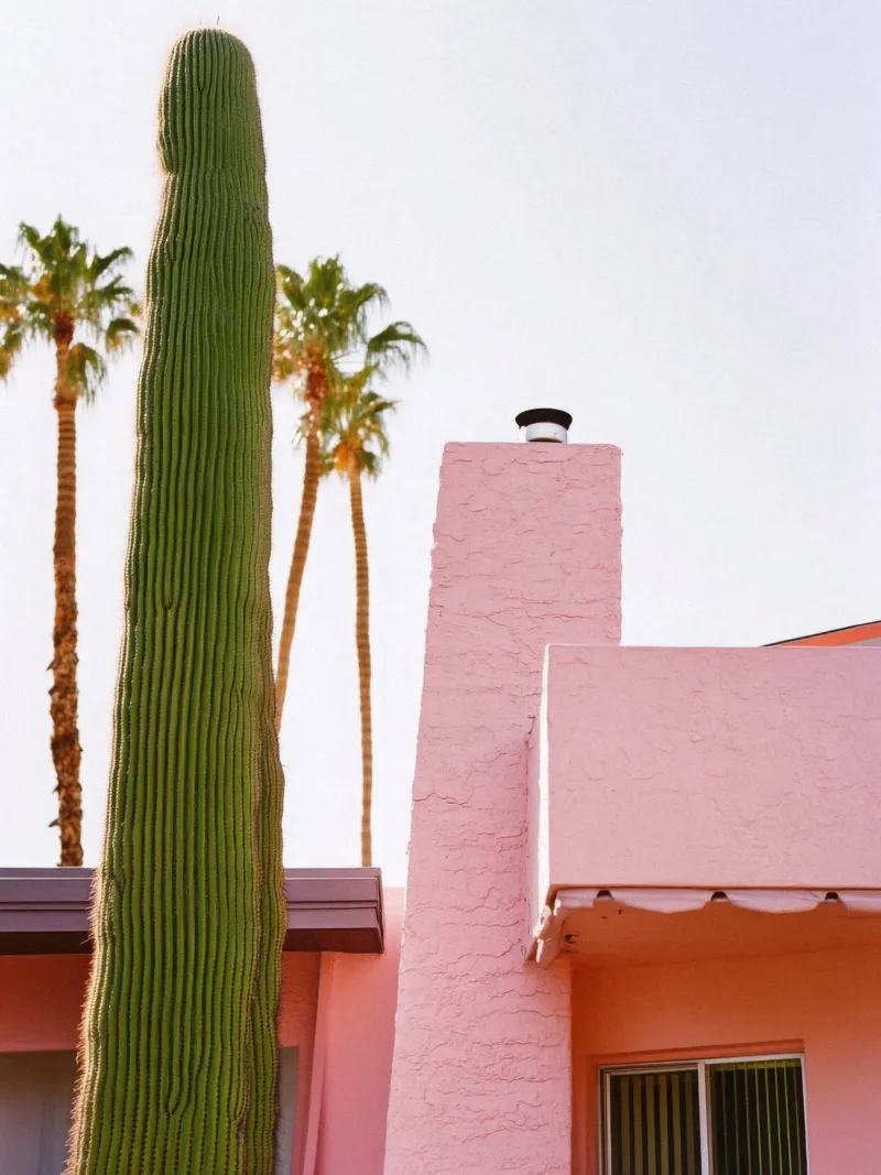 11 pellicola backlit da Pink California | Affiches & Posters