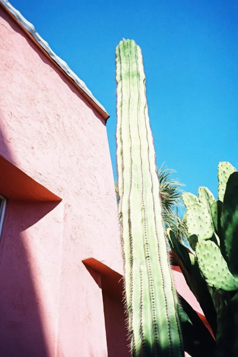 16 pellicola backlit da Pink California | Affiches & Posters