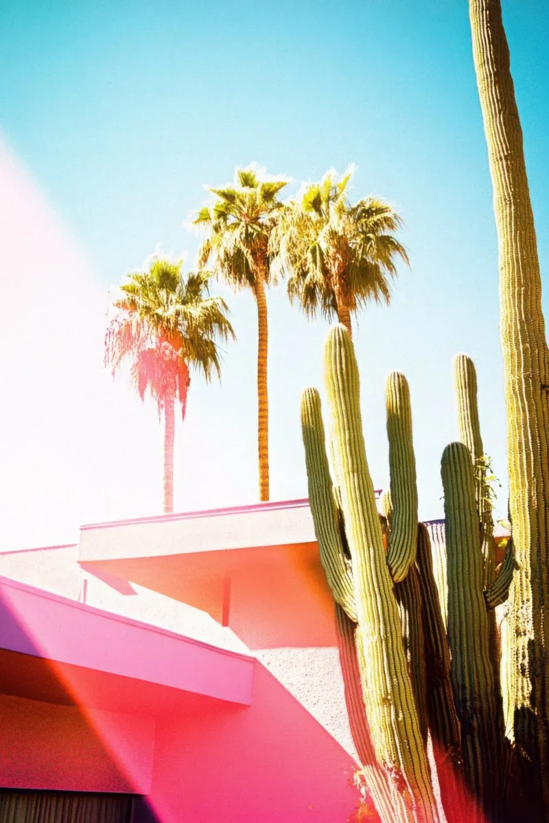 20 pellicola backlit da Pink California | Affiches & Posters