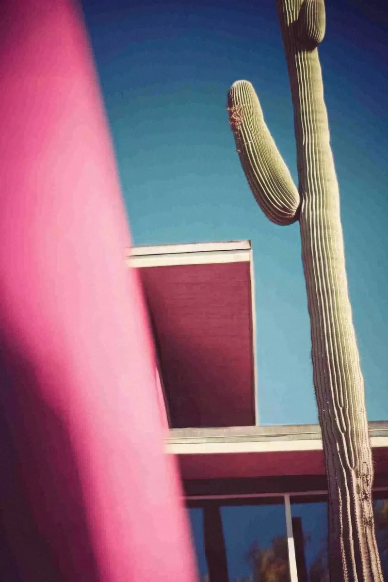 22 poster by Pink California | Affiches & Posters