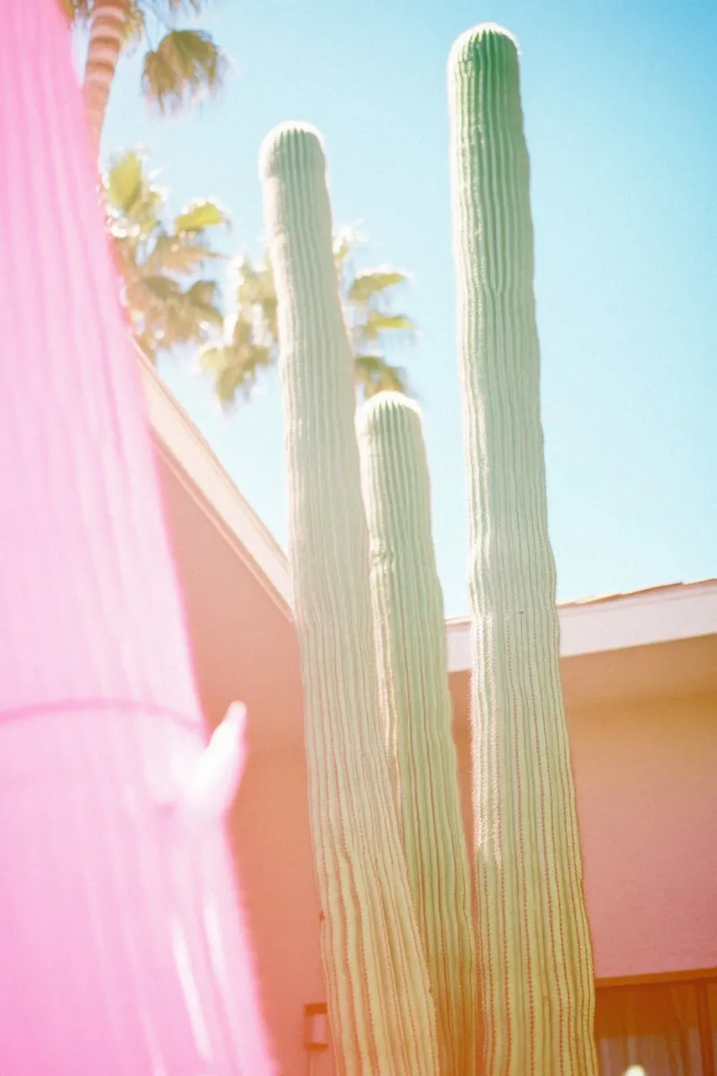23 pellicola backlit da Pink California | Affiches & Posters