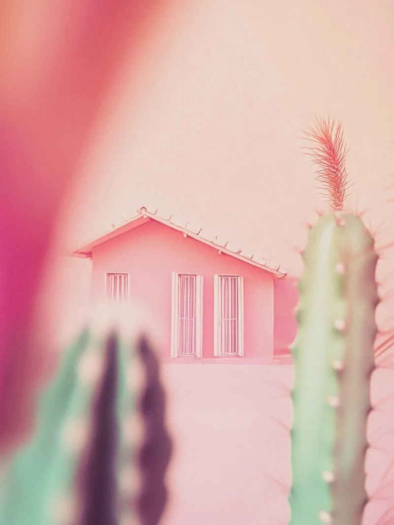 26 pellicola backlit da Pink California | Affiches & Posters