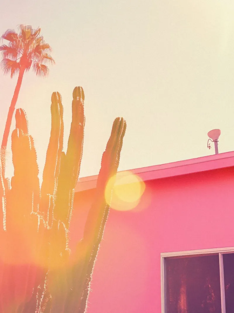 27 carta hahnemühle da Pink California | Affiches & Posters