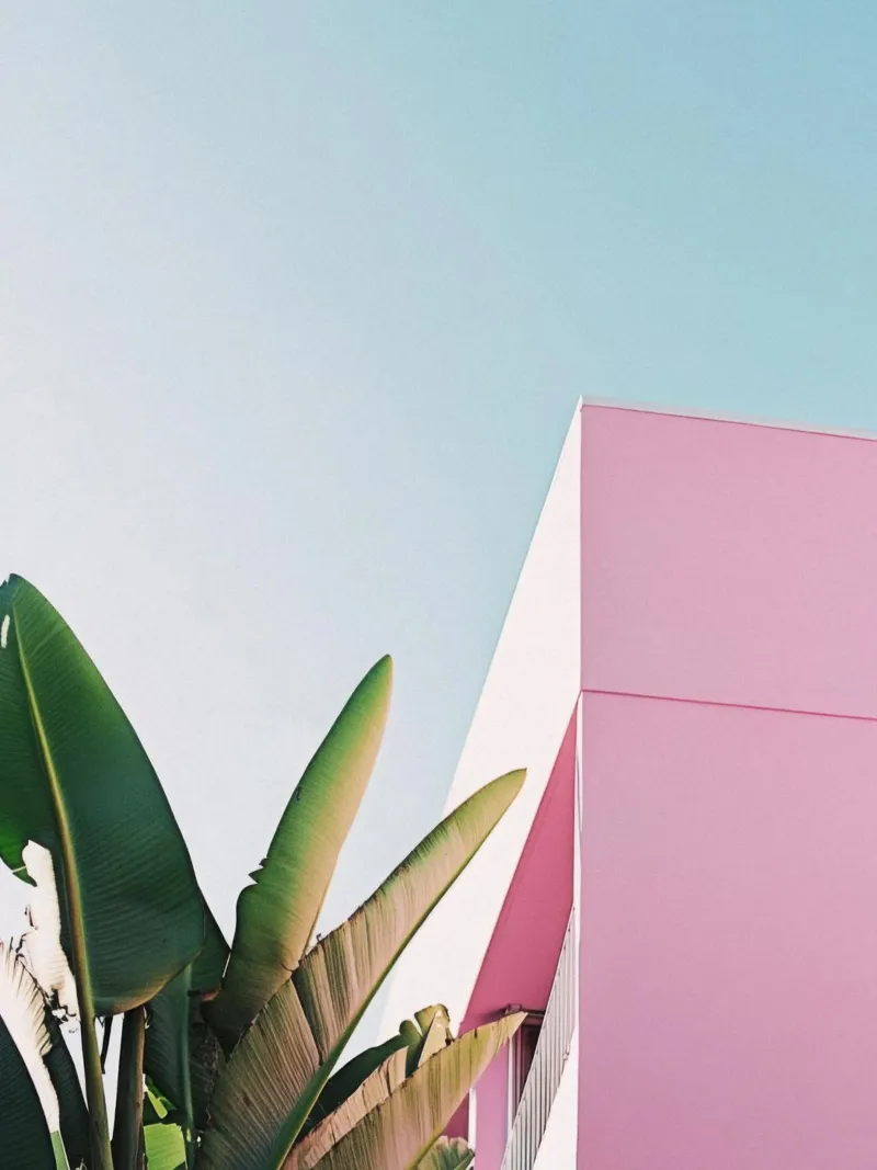 28 pellicola backlit da Pink California | Affiches & Posters
