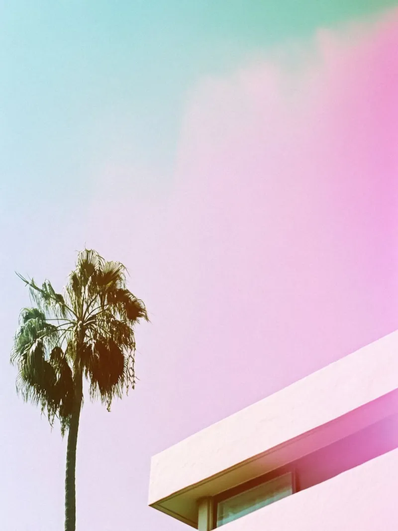 31 pellicola backlit da Pink California | Affiches & Posters