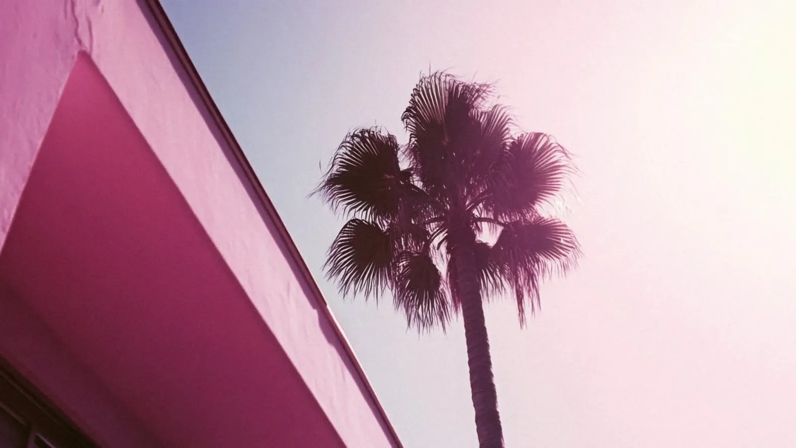 34 Backlit Folie von Pink California | Affiches & Posters