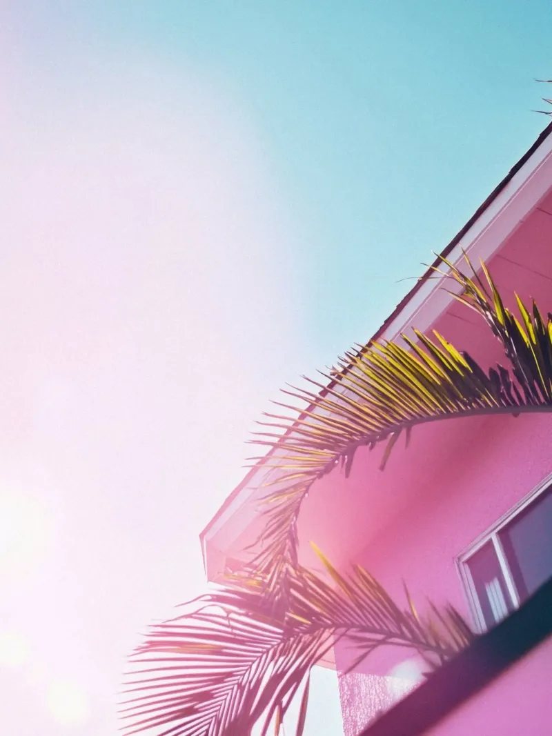 38 pellicola backlit da Pink California | Affiches & Posters