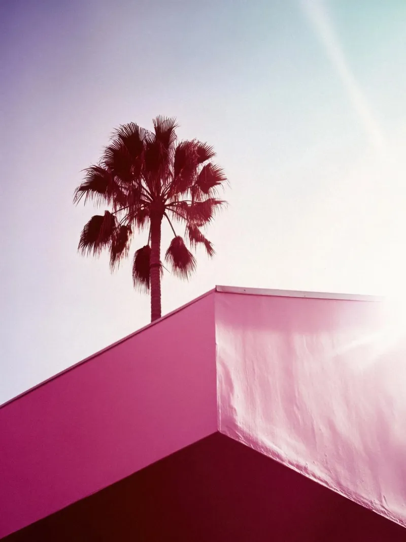 39 pellicola backlit da Pink California | Affiches & Posters