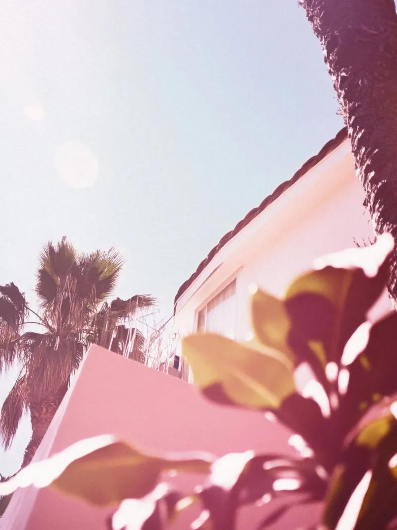 40 pellicola backlit da Pink California | Affiches & Posters