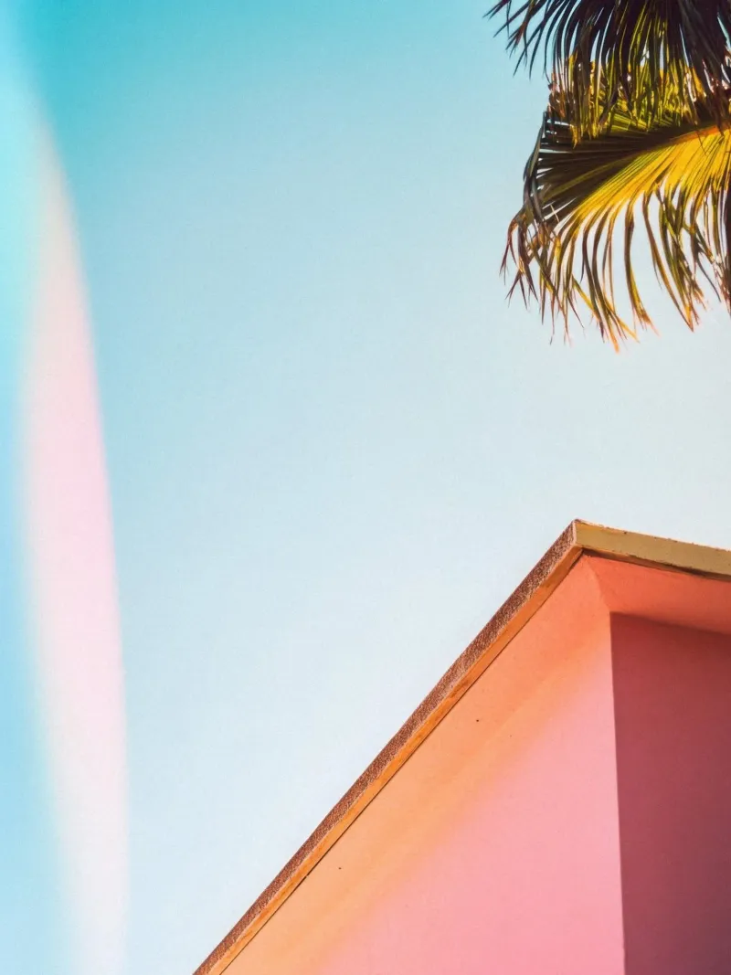 41 pellicola backlit da Pink California | Affiches & Posters