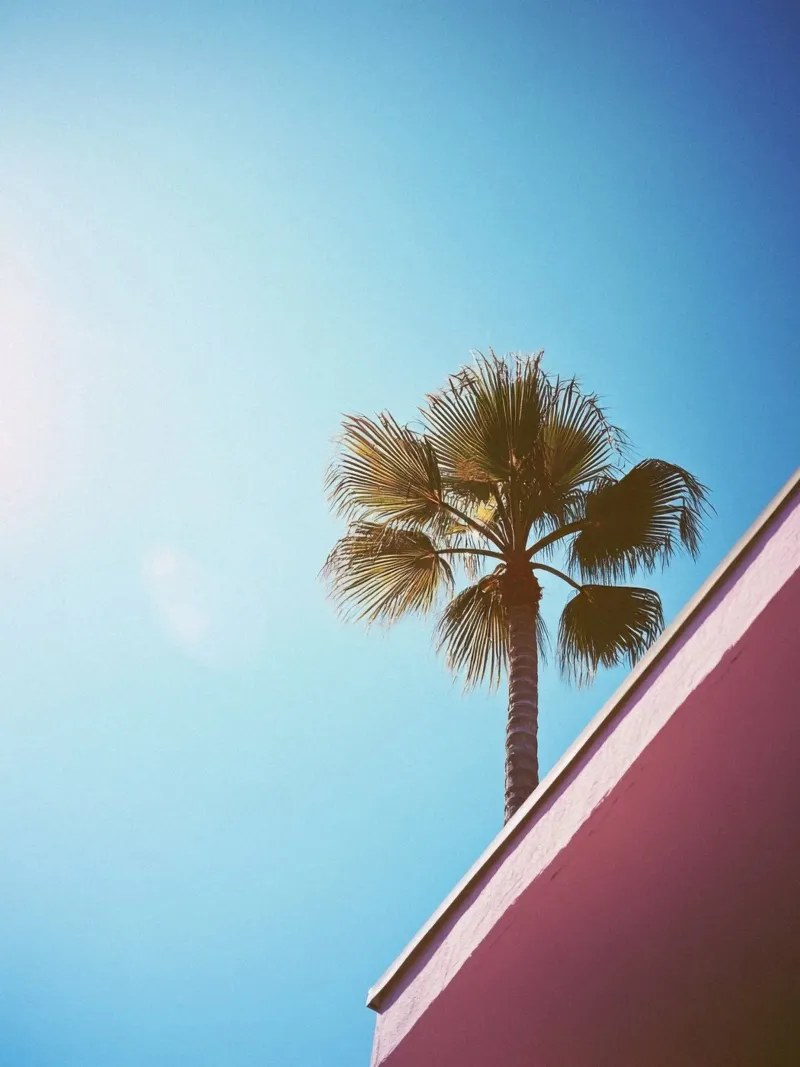 42 pellicola backlit da Pink California | Affiches & Posters