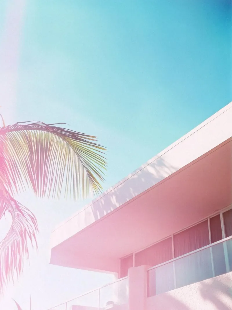 43 pellicola backlit da Pink California | Affiches & Posters