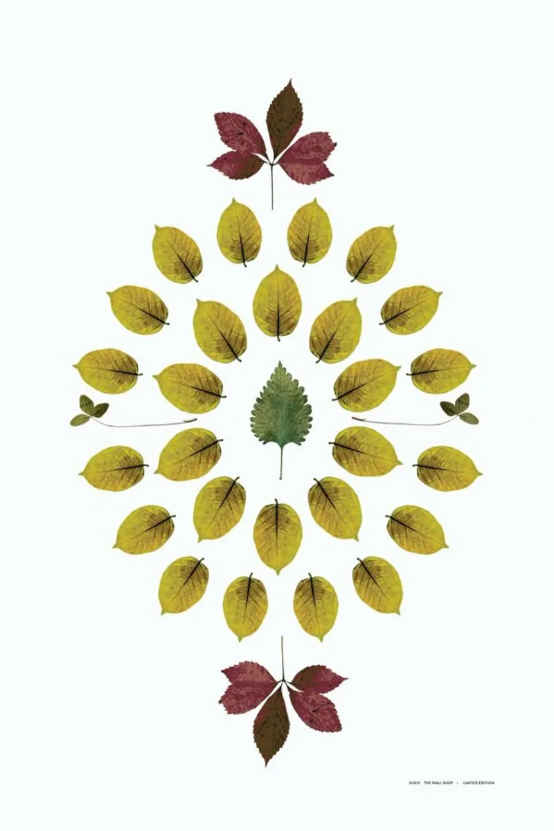Botanicals 1 pellicola backlit da The Wall Shop
