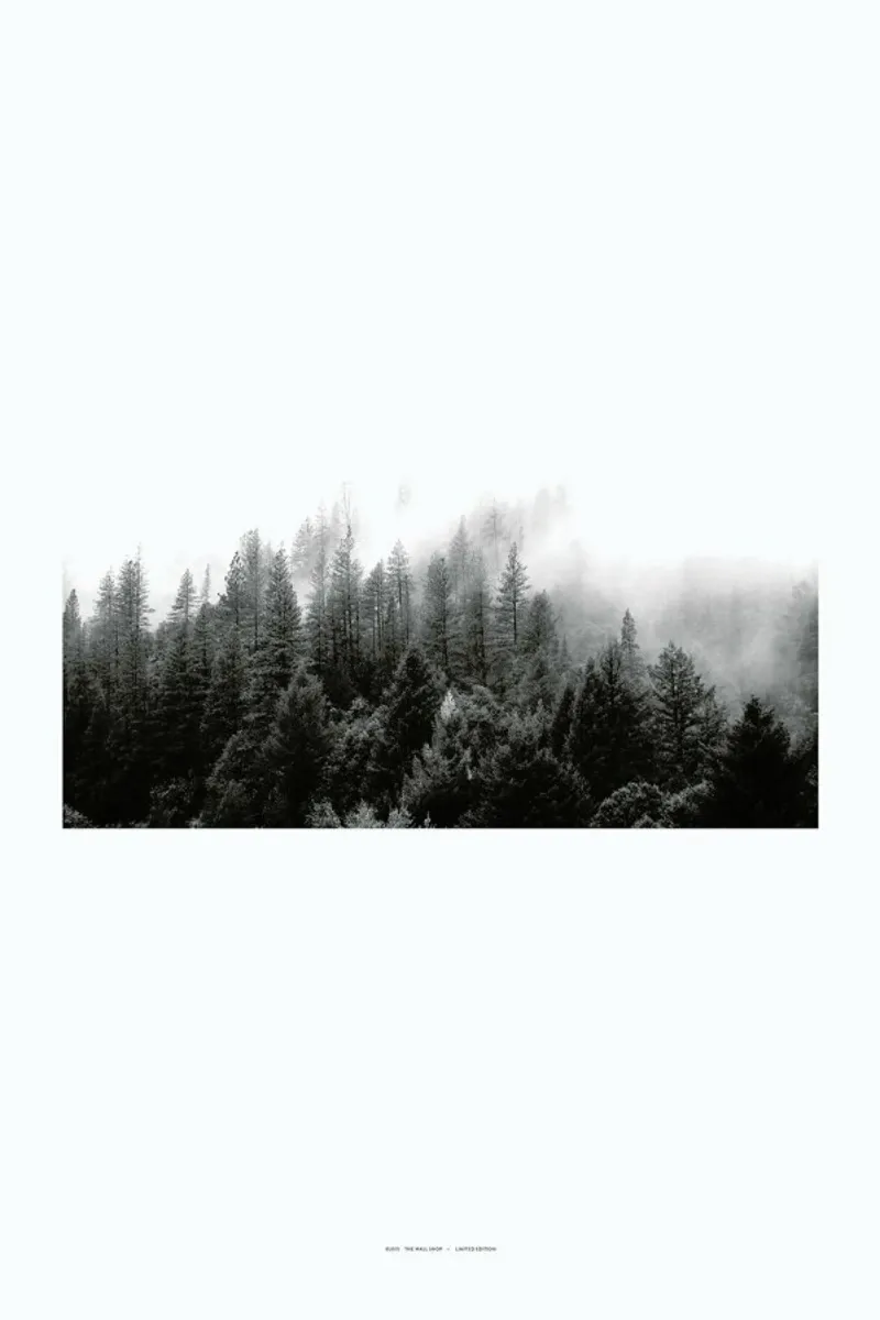 Fog carta hahnemühle da The Wall Shop