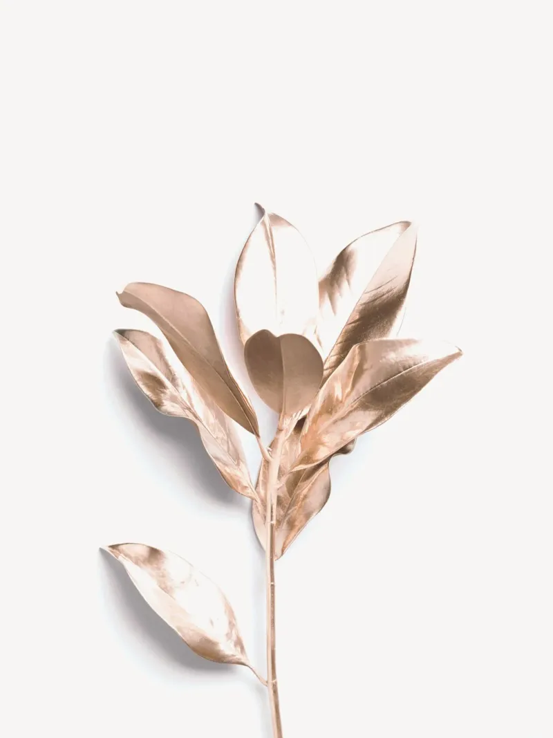 Gouden bladeren - Elegant natuurlijk ontwerp canvas met Baklijst van Whole©