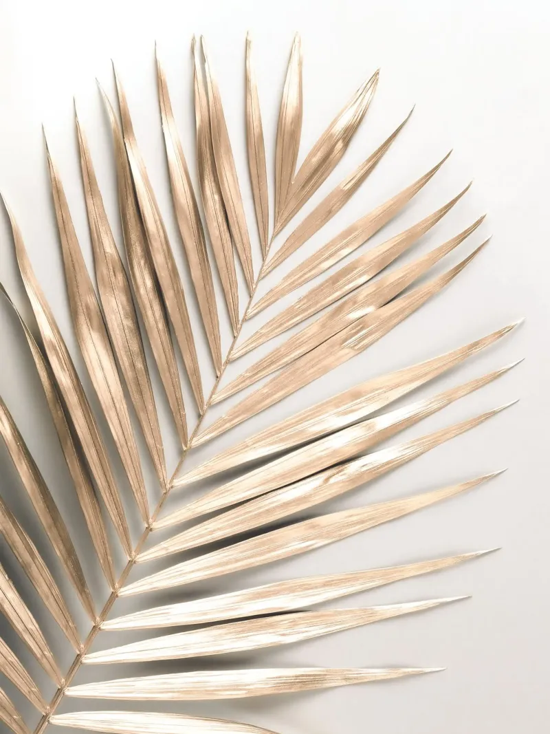 Gouden palmblad - Minimalistisch natuurlijk ontwerp poster met houten frame van Whole©