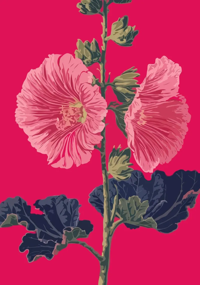 Pink Flower on Red Background pellicola backlit da edsonramosart