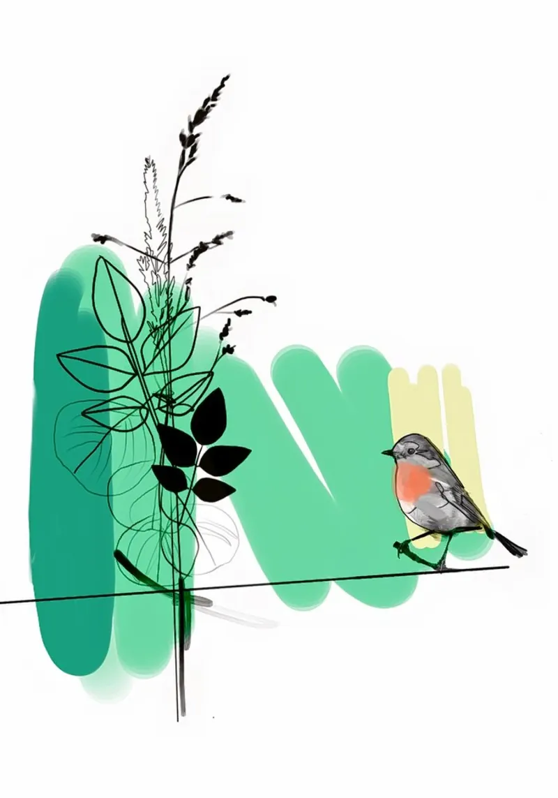 Robin pellicola backlit da SaraRosenbaum