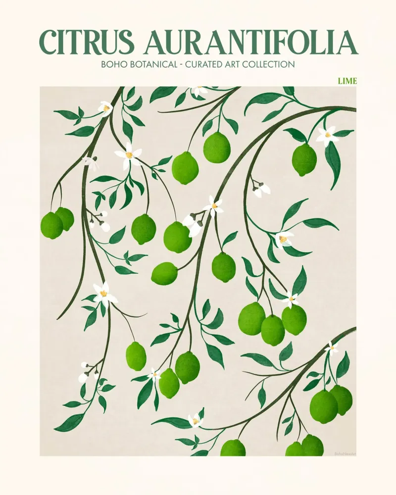 Citrus Aurantifolia - Lima aluminio dibond de Emel Tunaboylu